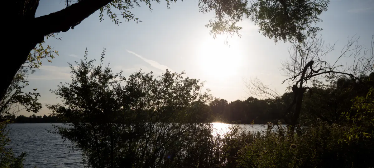 Zon boven het meer, omlijst door bomen